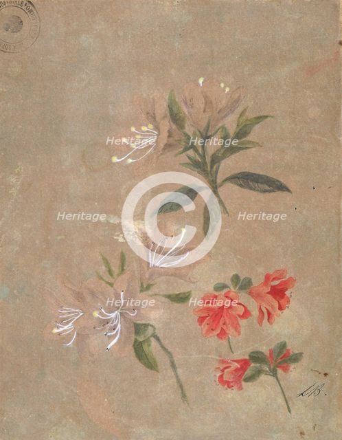 Three groups of flowers, 1886. Creator: Kiyohara, Tama (O'Tama), (Eleonora Ragusa) (1861-1939).