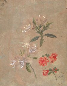 Three groups of flowers, 1886. Creator: Kiyohara, Tama (O'Tama), (Eleonora Ragusa) (1861-1939)