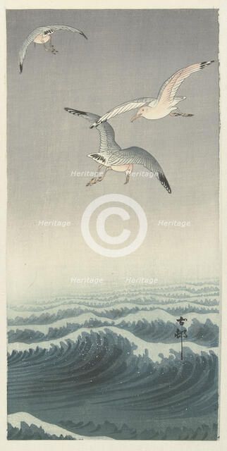 Three gulls. Creator: Ohara, Koson (1877-1945).