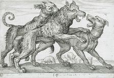 Three Dogs Fighting, 1610. Creator: Hendrick Hondius I