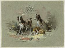 Three Dogs in an Alley, 1825-1877. Creator: Charles B Newhouse