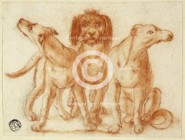 Three Dogs, n.d. Creator: Unknown.