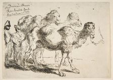 Three Dromedaries.n.d. Creator: Unknown
