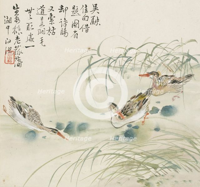 Three ducks swimming in a pool, 1857. Artist: Jin Yuan.