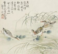 Three ducks swimming in a pool, 1857. Artist: Jin Yuan
