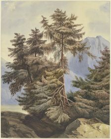 Three fir trees in the mountains, 1833. Creator: Ludwig Daniel Philipp Schmidt