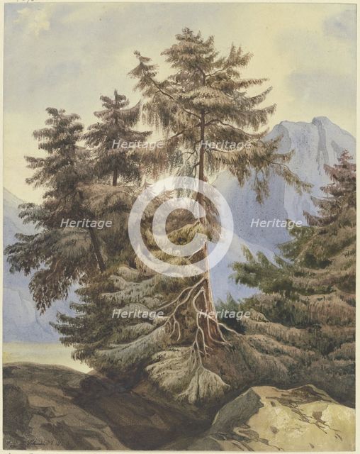 Three fir trees in the mountains, 1833. Creator: Ludwig Daniel Philipp Schmidt.