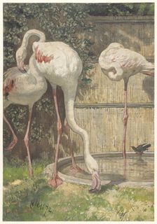 Three Flamingos near a Basin, 1872. Creator: August Allebe