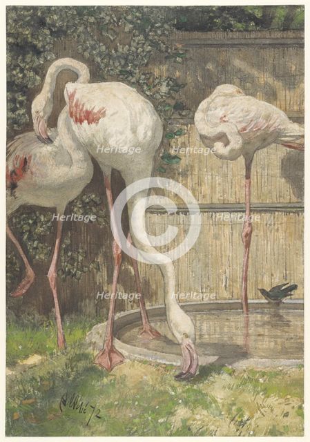 Three Flamingos near a Basin, 1872. Creator: August Allebe.
