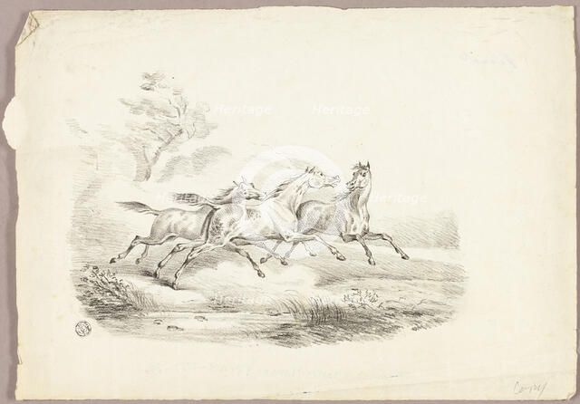 Three Horses Running, n.d. Creator: Unknown.