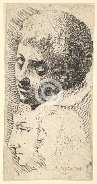 Three heads, 1645. Creator: Wenceslaus Hollar.