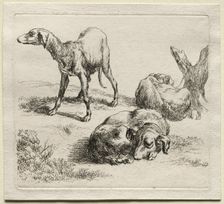 Three Hunting Dogs. Creator: Nicolaes Berchem (Dutch, 1620-1683)
