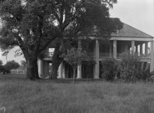 Three Oaks plantation, New Orleans, between 1920 and 1926. Creator: Arnold Genthe