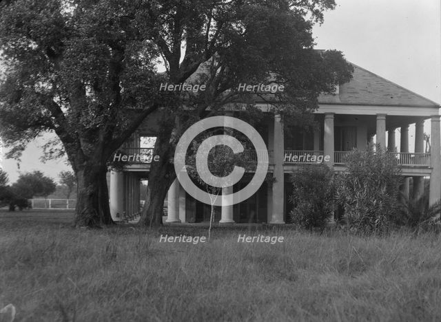 Three Oaks plantation, New Orleans, between 1920 and 1926. Creator: Arnold Genthe.