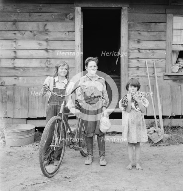 Three of the four Arnold children, Michigan Hill, Western Washington, 1939. Creator: Dorothea Lange.