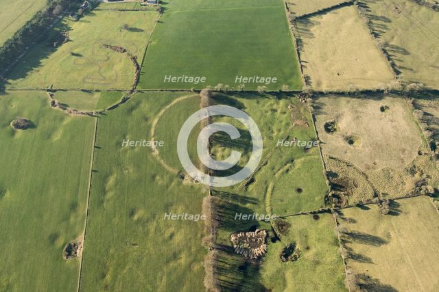 Three of the Priddy Circles, Somerset, 2016. Creator: Damian Grady.