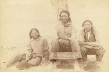 Three of Uncle Sam's Pets We get rations every 29 days Our pulse is good Expressive medium..., 1891. Creator: John C. H. Grabill