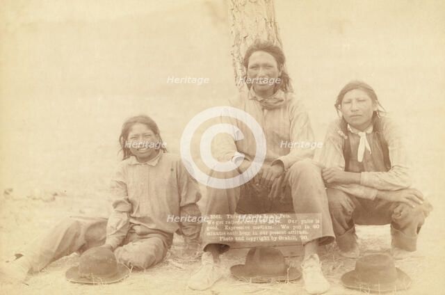 Three of Uncle Sam's Pets We get rations every 29 days Our pulse is good Expressive medium..., 1891. Creator: John C. H. Grabill.