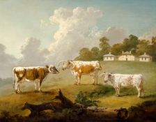 Three Long-horned Cattle at Kenwood 1797. Artist: Julius Caesar Ibbetson