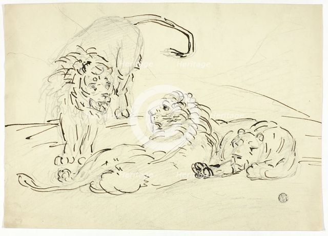 Three Lions, n.d. Creator: Sawrey Gilpin.