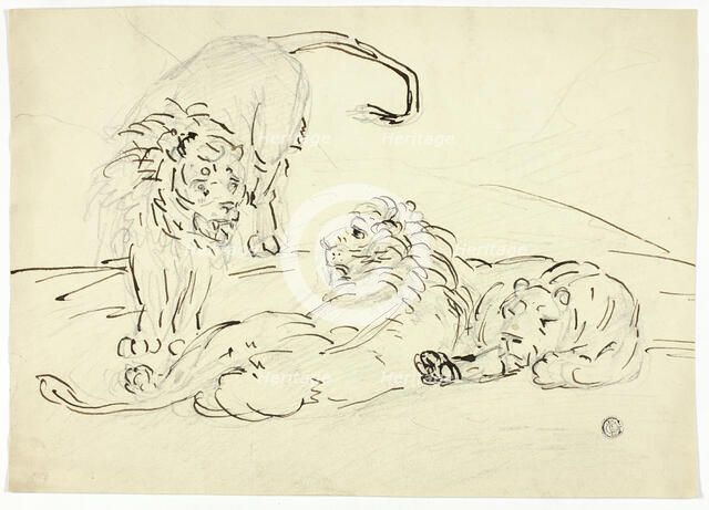 Three Lions, n.d. Creator: Sawrey Gilpin.