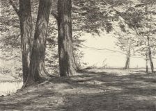 Three Maples, 1920. Creator: Bolton Coit Brown