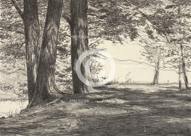 Three Maples, 1920. Creator: Bolton Coit Brown.