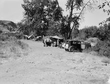 Three migratory families in "Ramblers Park", Washington, Yakima Valley, 1939. Creator: Dorothea Lange