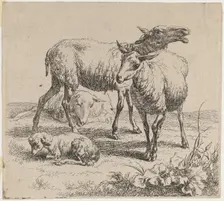 Three Sheep and a Lamb. Creator: Nicolaes Berchem