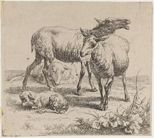 Three Sheep and a Lamb. Creator: Nicolaes Berchem