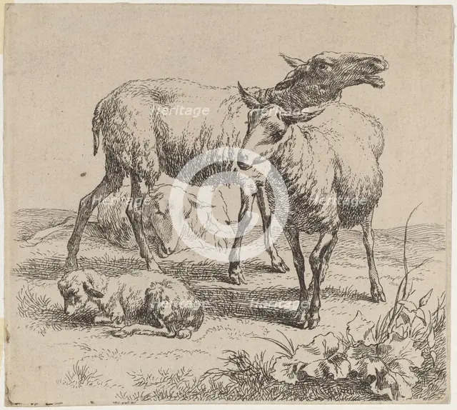 Three Sheep and a Lamb. Creator: Nicolaes Berchem.