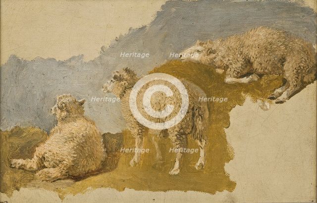 Three Sheep. Study, mid-19th century. Creator: Kilian Christoffer Zoll.