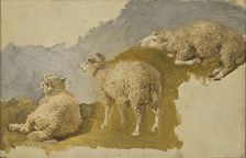 Three Sheep. Study, mid-19th century. Creator: Kilian Christoffer Zoll