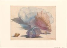 Three shells with a Delft folding dish, 1867-1935. Creator: Maurits Willem van der Valk