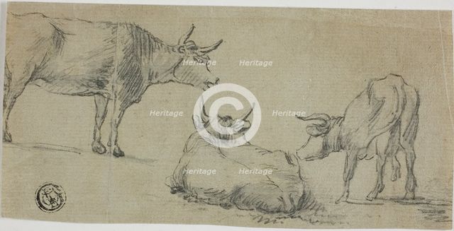 Three Sketches of Cows, n.d. Creator: Unknown.