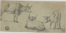 Three Sketches of Cows, n.d. Creator: Unknown