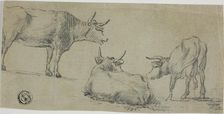 Three Sketches of Cows, n.d. Creator: Unknown