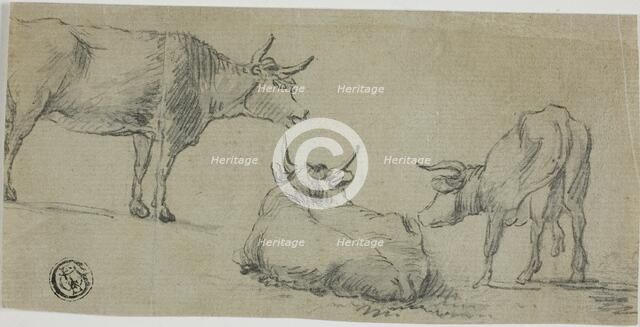 Three Sketches of Cows, n.d. Creator: Unknown.