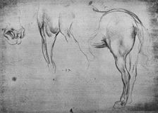 Three Sketches of a Horse's Hind-Quarters and one of its Nostrils c1480 (1945). Artist: Leonardo da Vinci