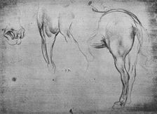 Three Sketches of a Horse's Hind-Quarters and one of its Nostrils c1480 (1945). Artist: Leonardo da Vinci