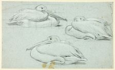 Three Sketches of Pelicans, n.d. Creator: Henry Stacy Marks