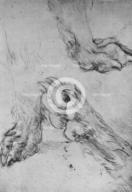 'Three Studies of the Paws of a Dog or Wolf', c1480 (1945). Artist: Leonardo da Vinci.