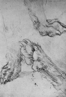 Three Studies of the Paws of a Dog or Wolf c1480 (1945). Artist: Leonardo da Vinci