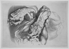 Three Studies of Écorchés, after 1640., after 1640. Creator: Paulus Pontius