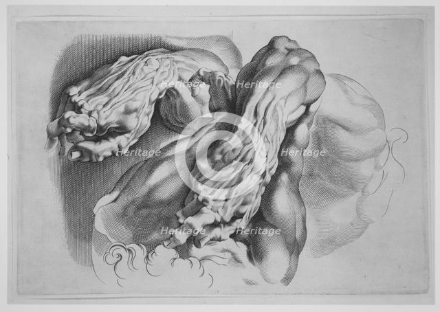 Three Studies of Écorchés, after 1640., after 1640. Creator: Paulus Pontius.