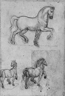 Three Studies of Horses c1480 (1945). Artist: Leonardo da Vinci