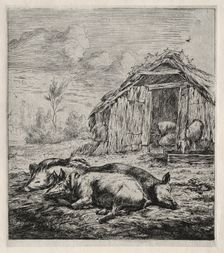 Three Swine Lying in Front of a Sty, 1850. Creator: Charles Meryon (French, 1821-1868)
