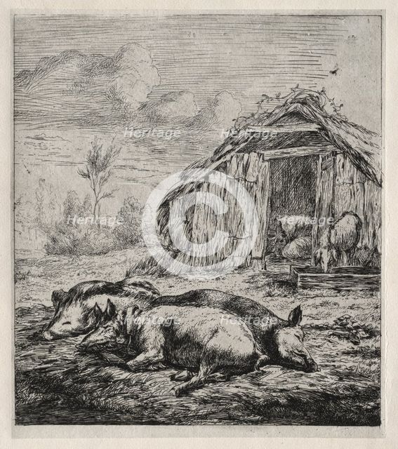 Three Swine Lying in Front of a Sty, 1850. Creator: Charles Meryon (French, 1821-1868).