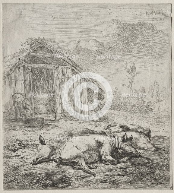 Three Swine Lying in Front of a Sty. Creator: Karel Dujardin (Dutch, c. 1622-1678).