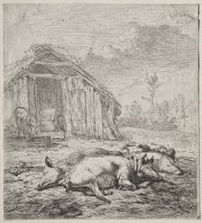 Three Swine Lying in Front of a Sty. Creator: Karel Dujardin (Dutch, c. 1622-1678)